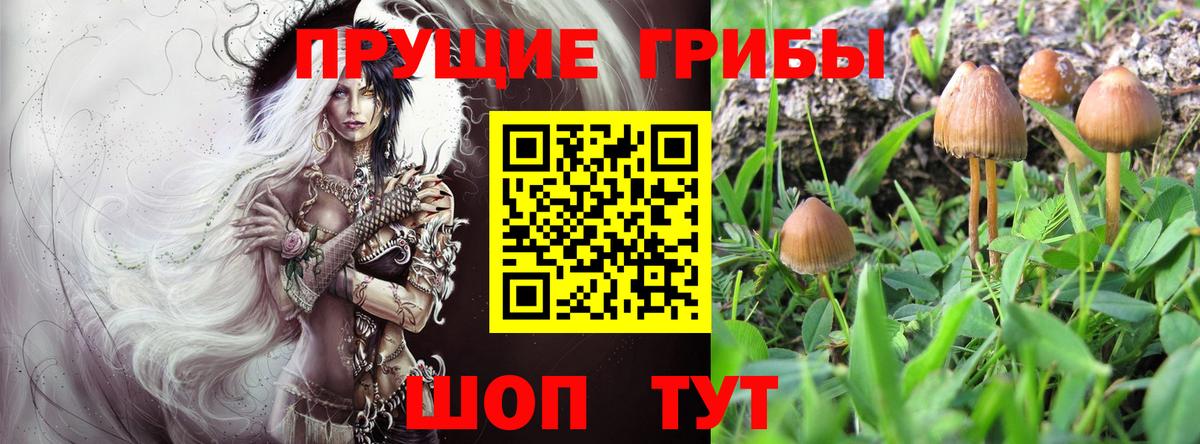Псилоцибиновые грибы Magic Shrooms Ярцево